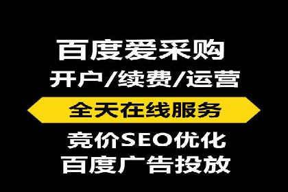 百度SEO推广公司案例精选：助力企业快速崛起