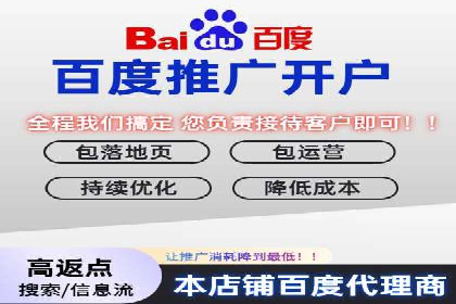 百度竞价排名策略解析：一家公司的广告投放策略全揭秘